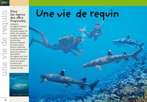 98623_interieure_Hres_2