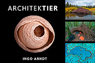 Architektier