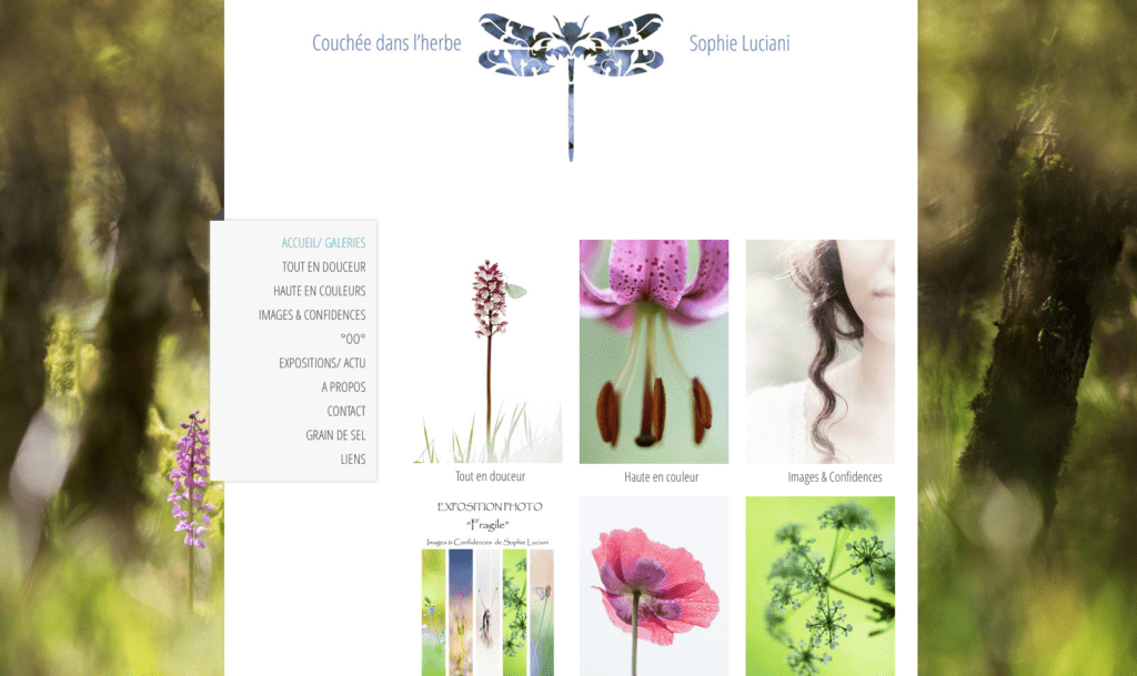 capture-decran-2017-01-06-a-20-14-31