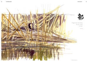 hs-bird-attitude_130_fr