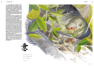 hs-bird-attitude_131_fr