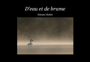 Cover 2012