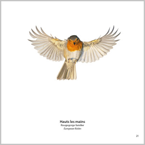 Jerome Guillaumot - Photographe animalier - 22