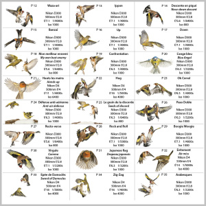 Jerome Guillaumot - Photographe animalier - 24