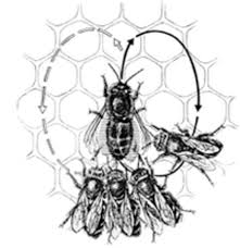 Unknown-1