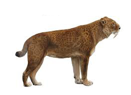 smilodon