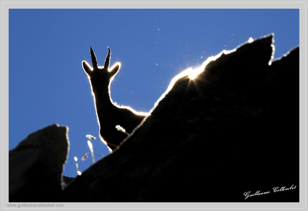 122783_d1bb2d02a2c5493890f8339c5825ce8a.jpg_srb_p_1258_862_75_22_0.50_1.20_0.00_jpg_srb