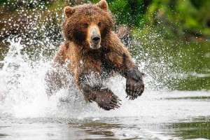 kamtchatka_marion_0021-300x200