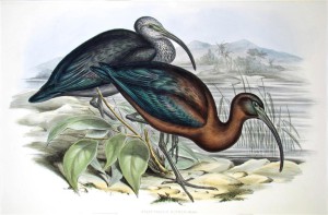 s314724769853485193_p464_i1_w915