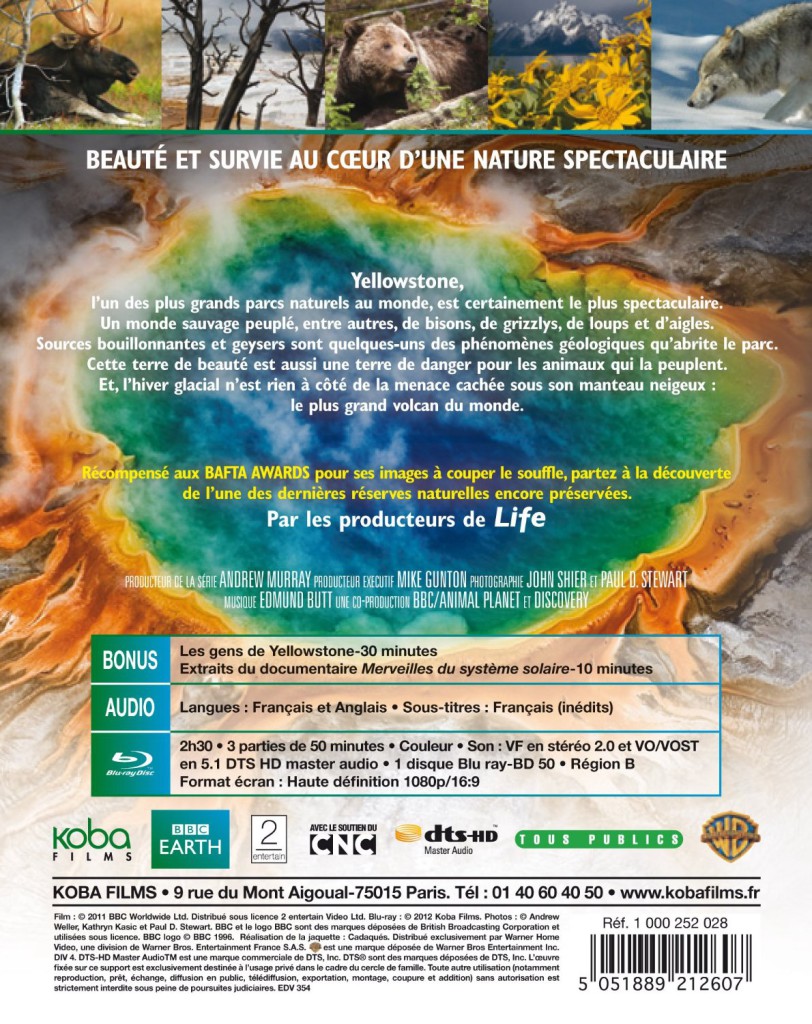 91K22YasgfL._SL1500_