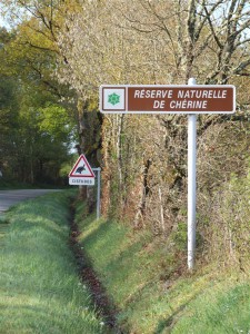 bienvenue_sur_cherine