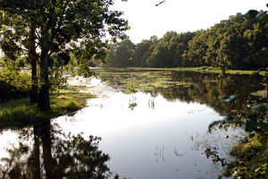 sorties_2010_cebron1