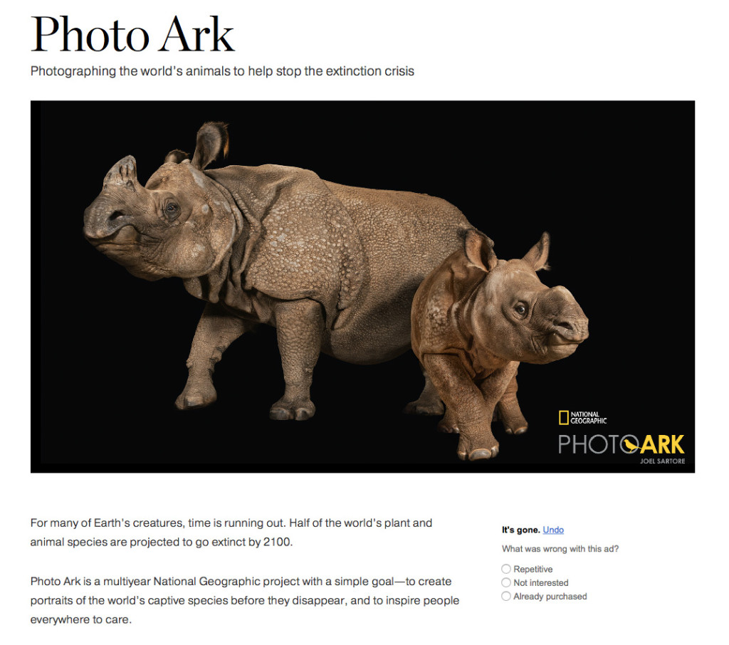 Ark