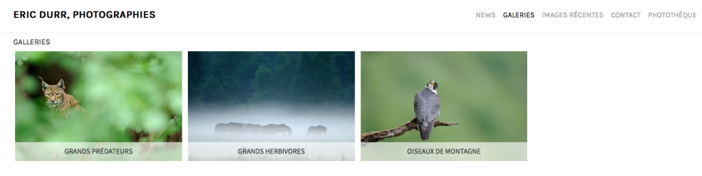 Capture d’écran 2015-12-18 à 20.12.58