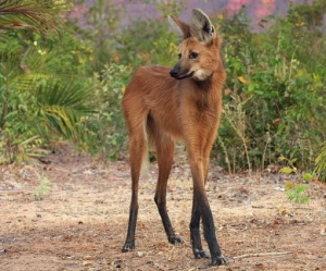 Capture d’écran 2015-12-26 à 19.39.28