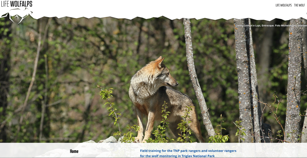 Capture d’écran 2015-12-26 à 19.50.38
