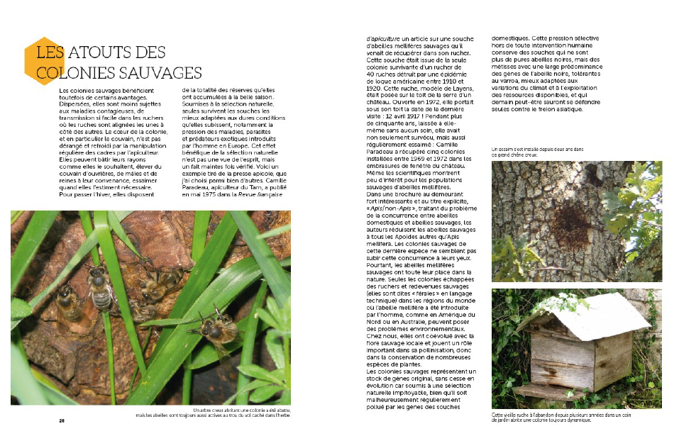 Capture d’écran 2016-01-15 à 11.47.26