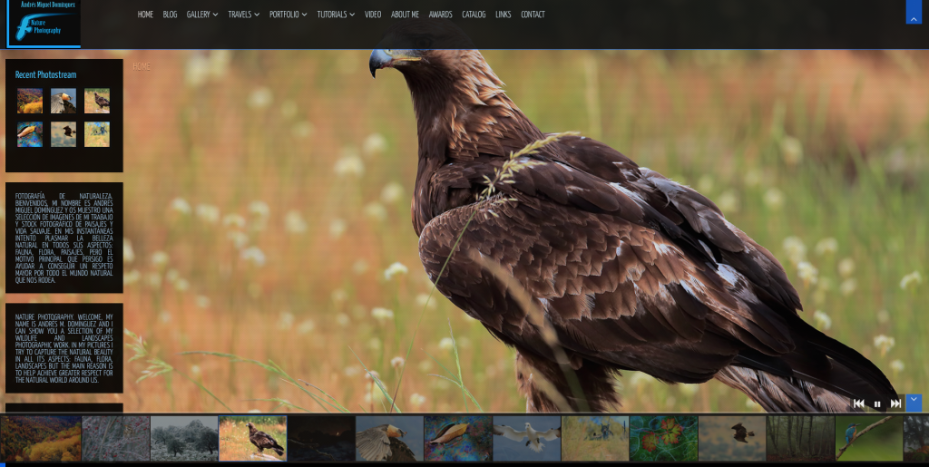 Capture d’écran 2016-01-16 à 18.12.07