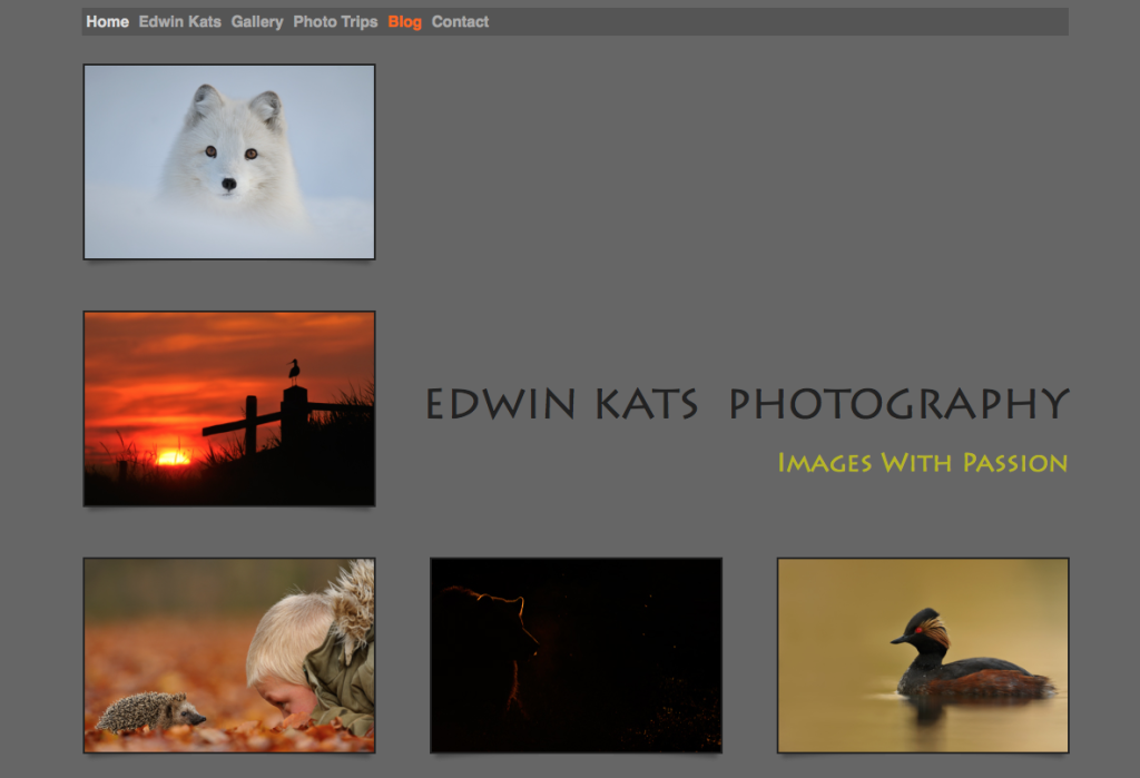 Capture d’écran 2016-01-16 à 19.54.11