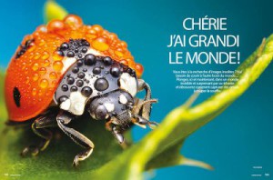 mdlp82_104_112-5b0ad