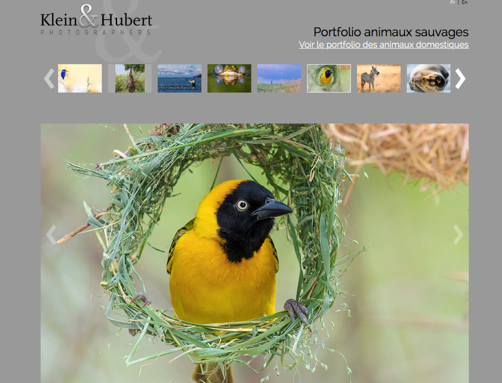 Capture d’écran 2016-02-03 à 18.48.33