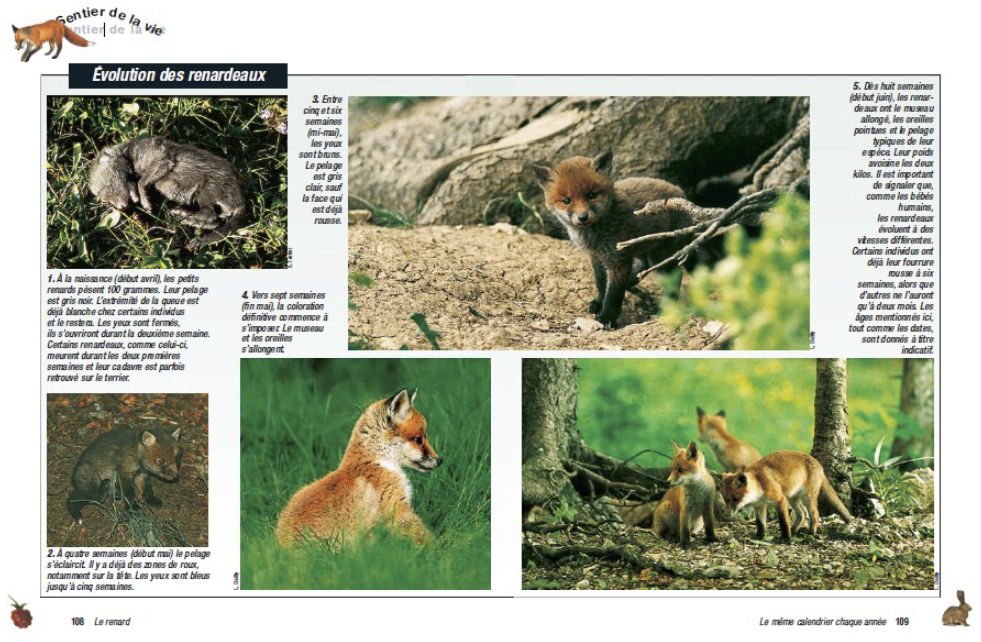 Capture d’écran 2016-02-09 à 11.52.56