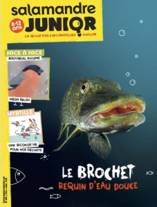 Capture d’écran 2016-02-09 à 19.50.59