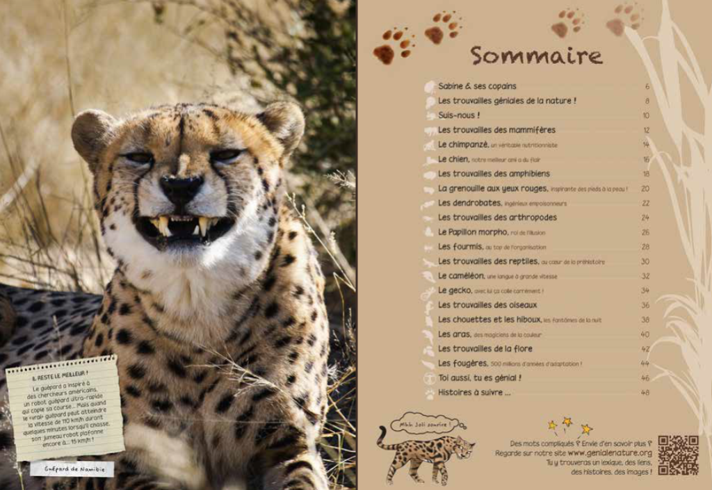 Capture d’écran 2016-02-21 à 15.50.07