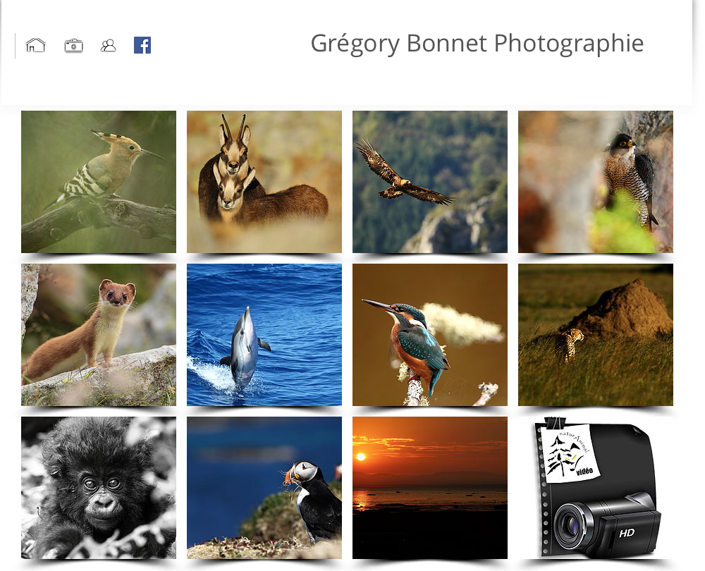 Capture d’écran 2016-04-18 à 07.49.19