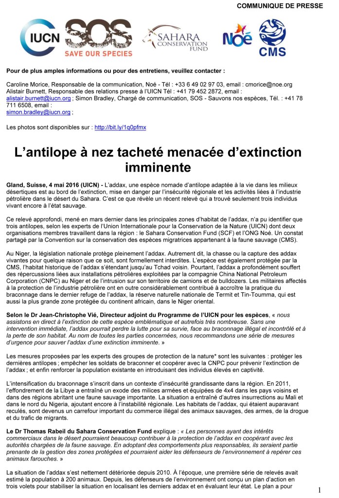 Addax 1