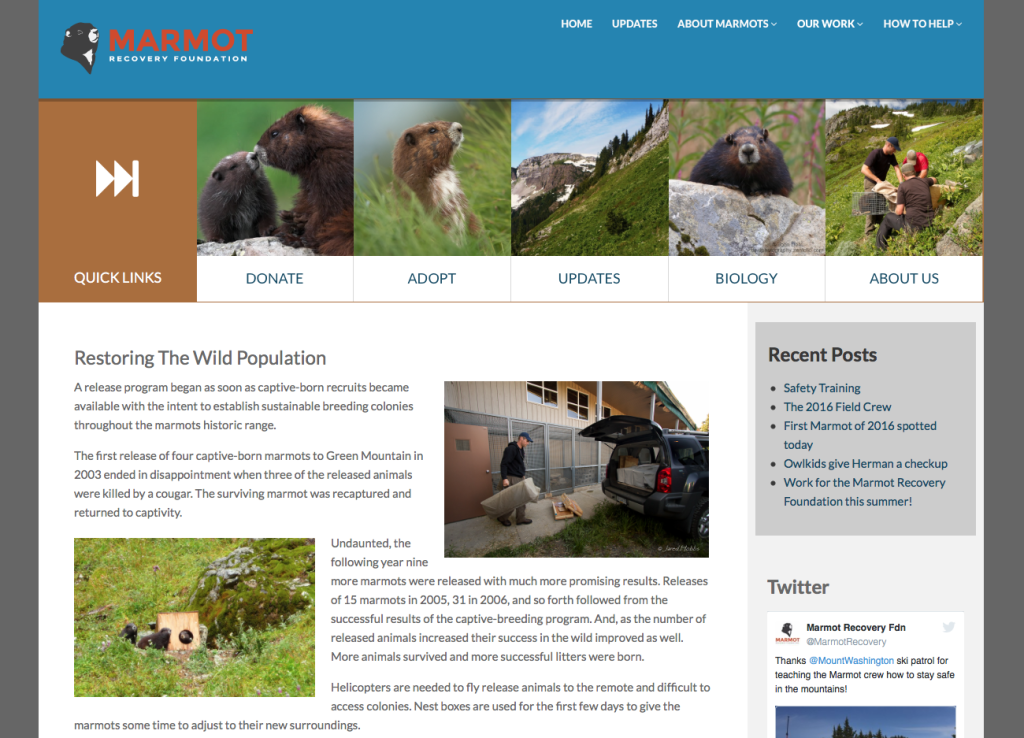 Capture d’écran 2016-05-11 à 07.34.45