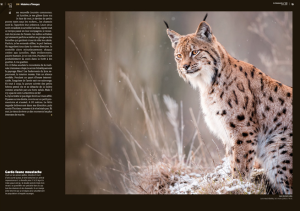 Capture d’écran 2016-05-13 à 19.11.36