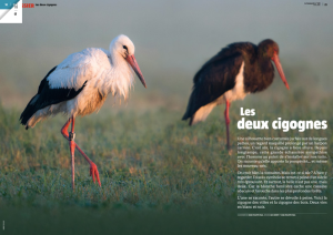 Capture d’écran 2016-05-13 à 19.11.54