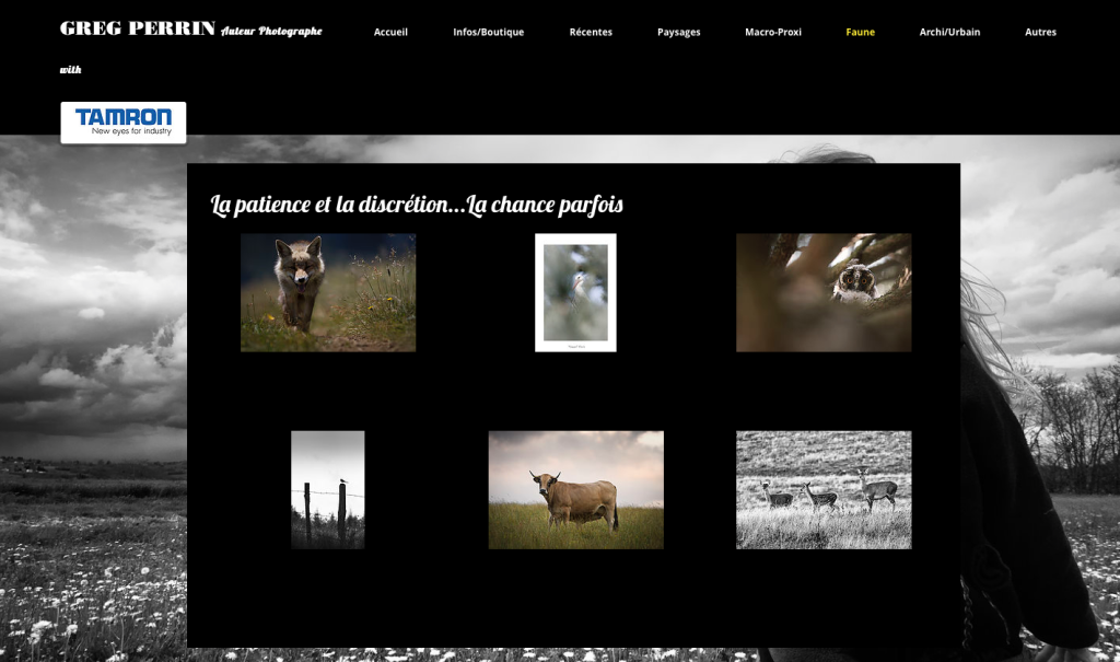 Capture d’écran 2016-05-18 à 13.21.06