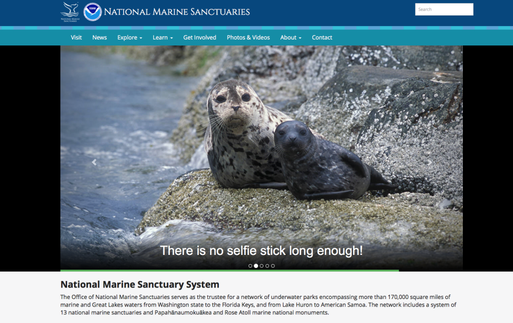 Capture d’écran 2016-05-22 à 08.20.12