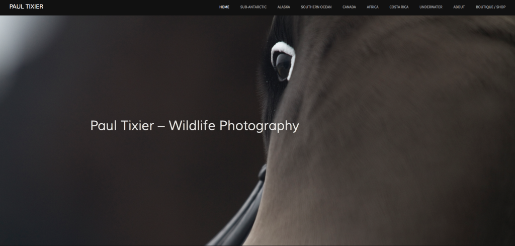 Capture d’écran 2016-06-11 à 10.12.29