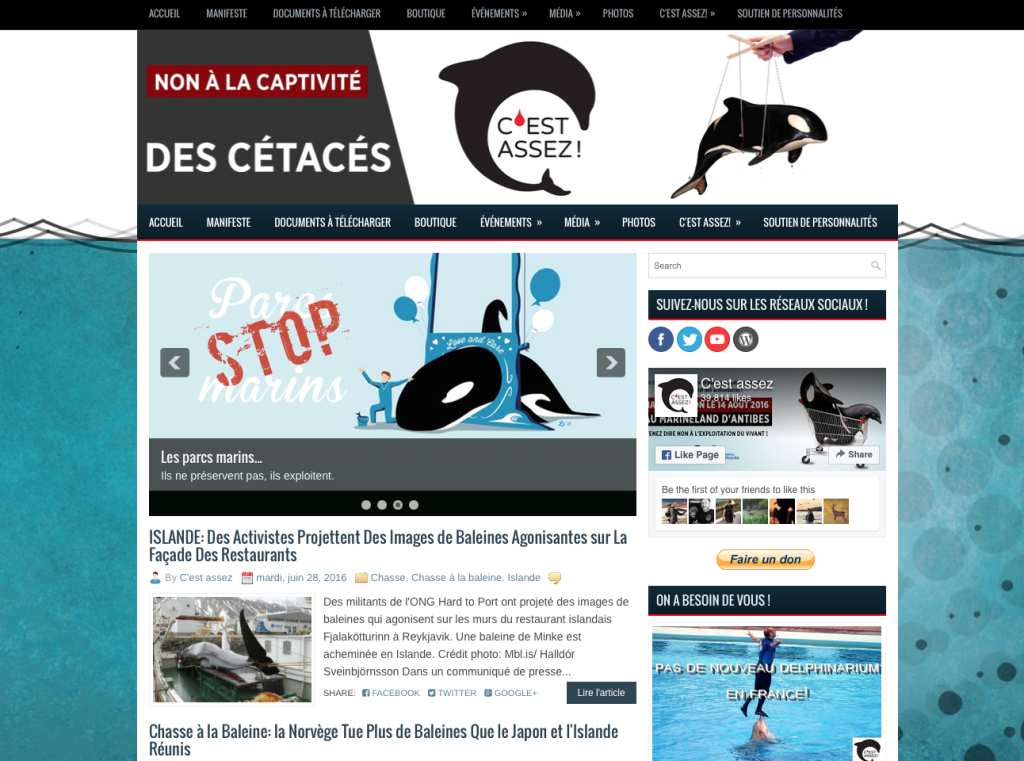 Capture d’écran 2016-07-02 à 08.41.48