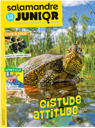 Capture-decran-2016-08-09-a-16-03-13