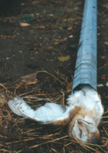 Capture d’écran 2016-08-06 à 14.40.56