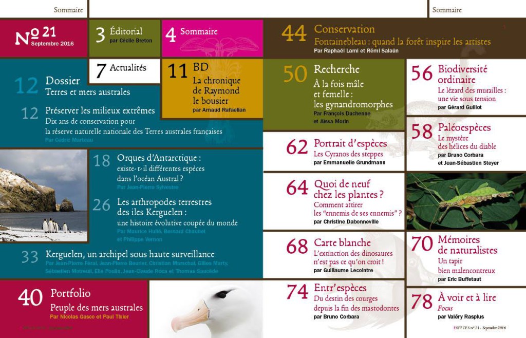 14068480_1380229972004365_3177503788691254940_o