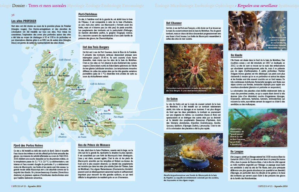 14107767_1380227292004633_1083900267211338851_o