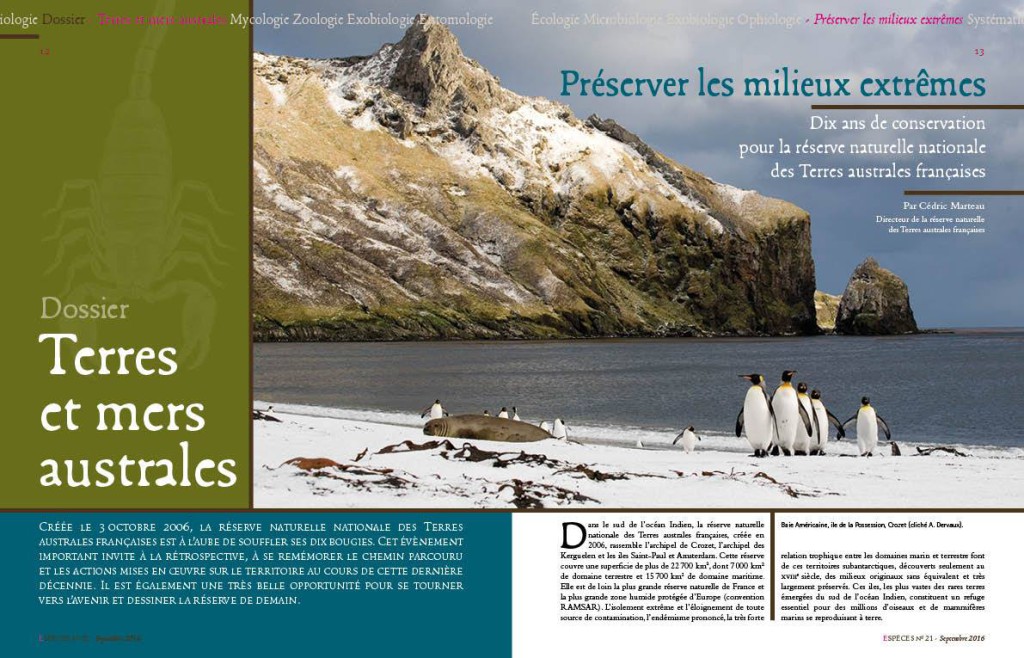 14124306_1380227135337982_1733501331163072801_o