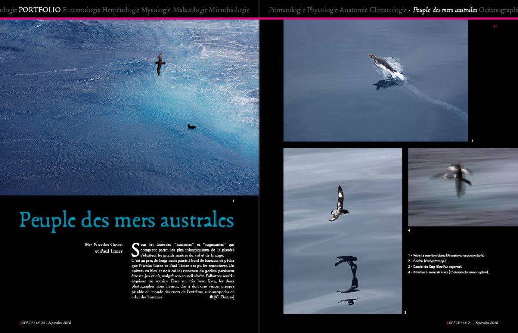 14137970_1380227405337955_6895968247462774063_o