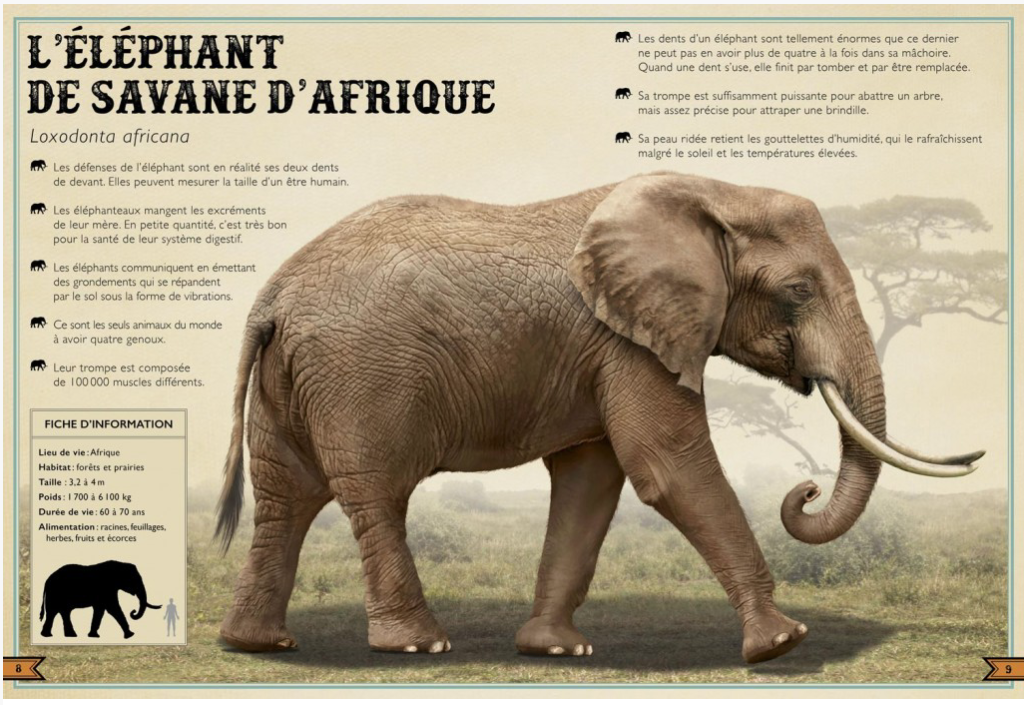 capture-decran-2016-09-25-a-12-23-20