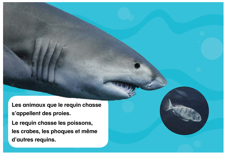 capture-decran-2016-09-25-a-18-52-57