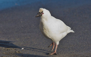 capture-decran-2016-10-11-a-07-37-55