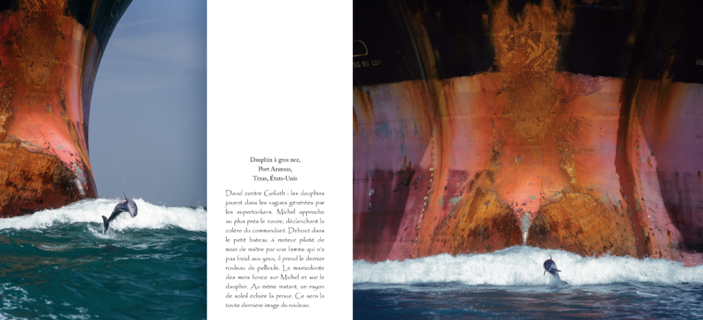 capture-decran-2016-10-31-a-09-06-07