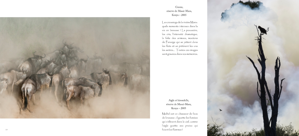 capture-decran-2016-10-31-a-09-06-20