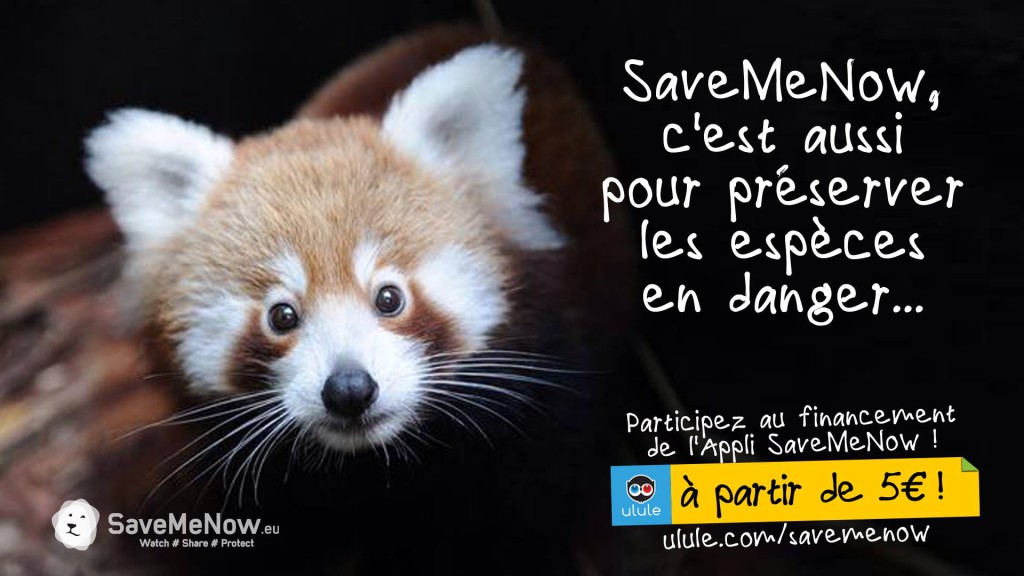 15111066_10211400834959177_512269853572423631_o