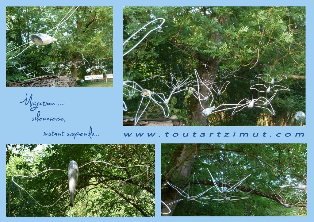 a42presmigrationoiseaux